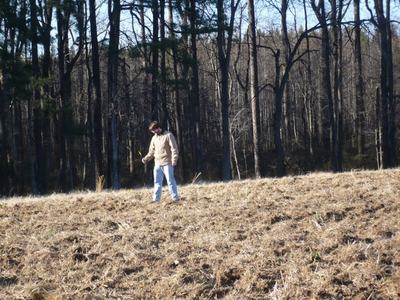 Person standing in a dry grassy field near a tree line holding a yellow leaf