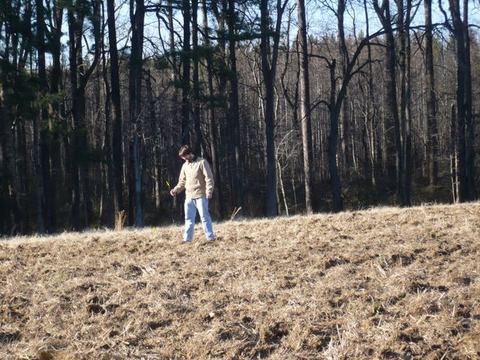 Person standing in a dry grassy field near a tree line holding a yellow leaf