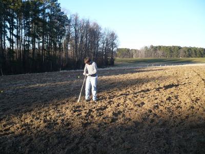 Person probing soil with a long tool in a plowed field near a tree line