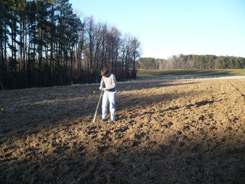 Person probing soil with a long tool in a plowed field near a tree line
