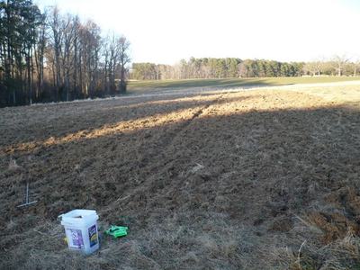 Dry grassy field with a white plastic bucket and green tool in foreground, trees in background