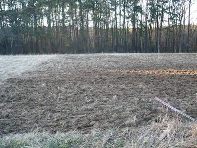Plowed brown field with grassy foreground and pine tree line along the background