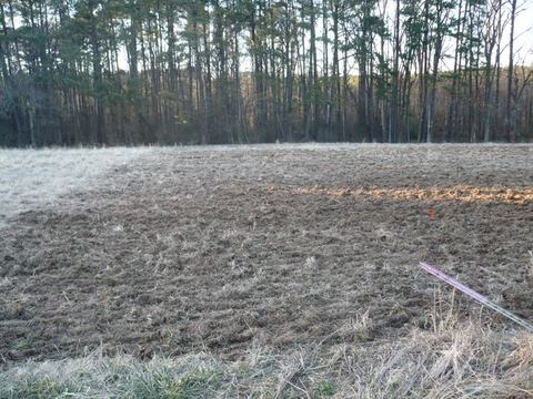 Plowed brown field with grassy foreground and pine tree line along the background