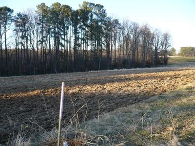 Plowed field with pink-topped survey stake in foreground and a line of trees beyond