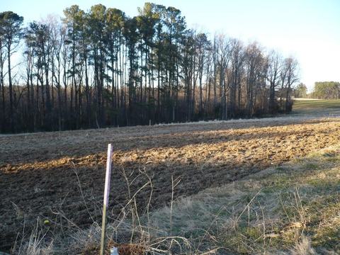 Plowed field with pink-topped survey stake in foreground and a line of trees beyond