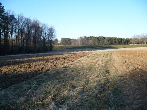 Plowed and grassy agricultural field leading to a tree line under a clear sky