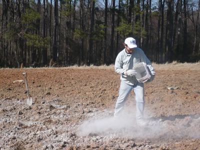 Man wearing cap and gloves sprinkling white powder across a plowed field, shovel in background