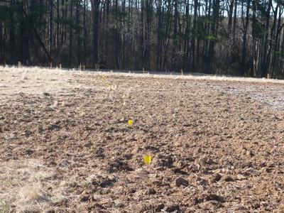 Plowed field with a line of small yellow survey flags leading toward a tree line