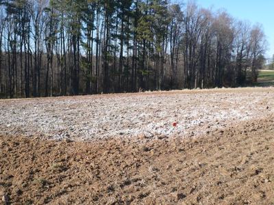 Plowed field dusted with white material and a red marker flag, tree line in background
