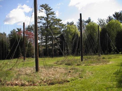 Wooden poles supporting vertical netting in circular patterns across a grassy field