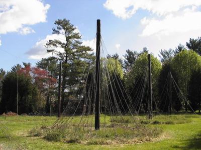 Central wooden pole with numerous radial wires forming a conical net on a grassy field