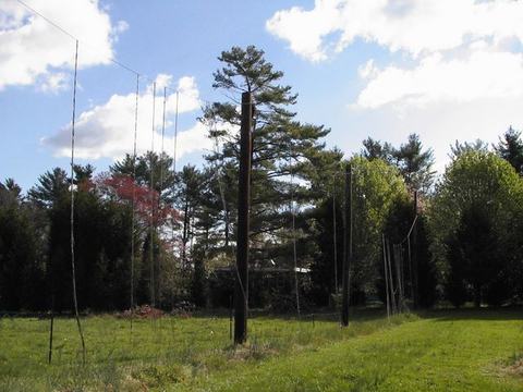 Tall wooden poles with vertical wires in a grassy field with trees in background