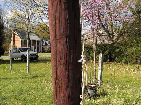 Wooden utility pole with coiled rope and pulley beside grassy yard; house and truck in background