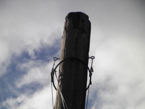 Weathered wooden utility pole with metal wire loops against cloudy sky