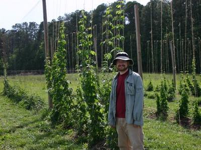 Person wearing hat and jacket standing beside tall trellised hop vines in a field