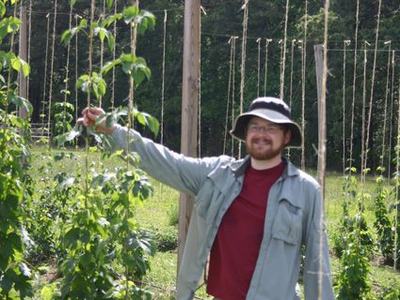 Person wearing hat standing in a hop field holding a tall hop vine
