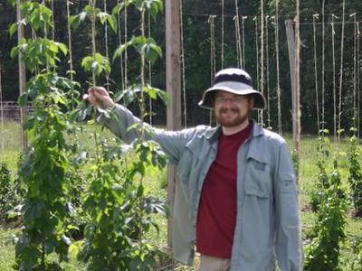 Person standing in a hop yard holding a tall hop vine, wearing a hat and long sleeves