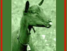 Cover: goat head in profile with bell; text 'Dairy Goat Management' and 'Best Management Practices'.