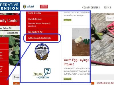 Screenshot of NCCE website