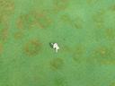 Person lying on green grass with backpack, seen from above.