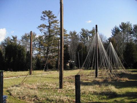 Wooden poles with multiple ropes radiating to the ground forming conical supports in a grassy field
