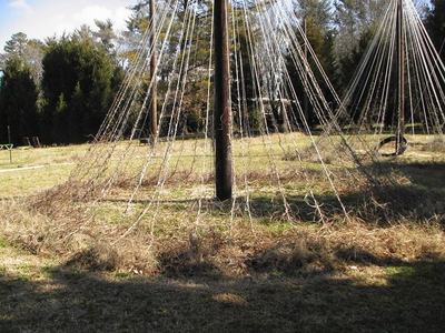 Wooden pole with numerous hanging ropes forming conical netting over a grassy field