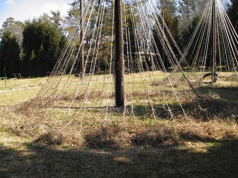 Wooden pole with numerous hanging ropes forming conical netting over a grassy field