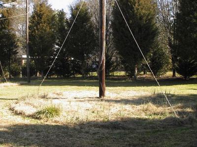 Wooden utility pole with three guy wires anchored in mown grassy field and trees behind