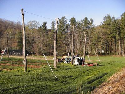 Tractor mowing a grassy field among wooden posts with trees along the treeline