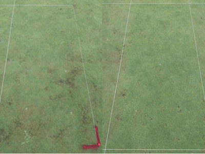 Grass playing field with white boundary lines and red L-shaped corner marker