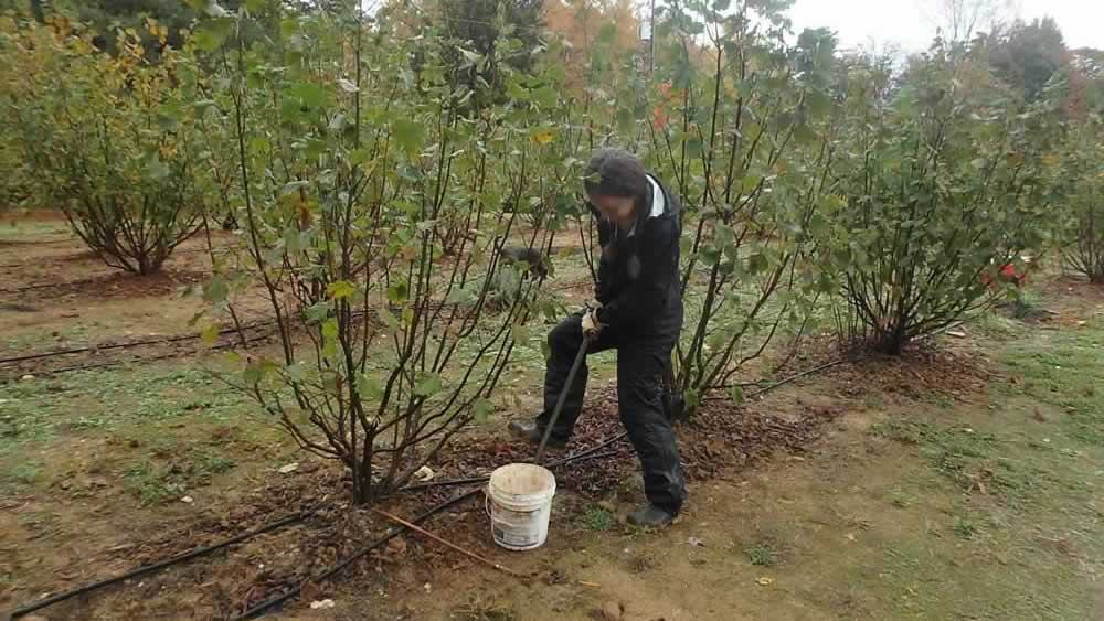person collecting samples