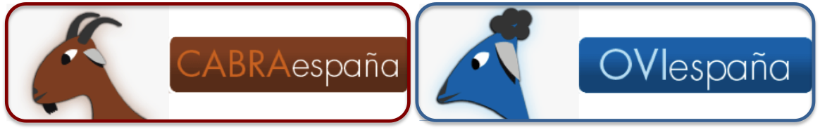 Website CABRA-OVIEspana