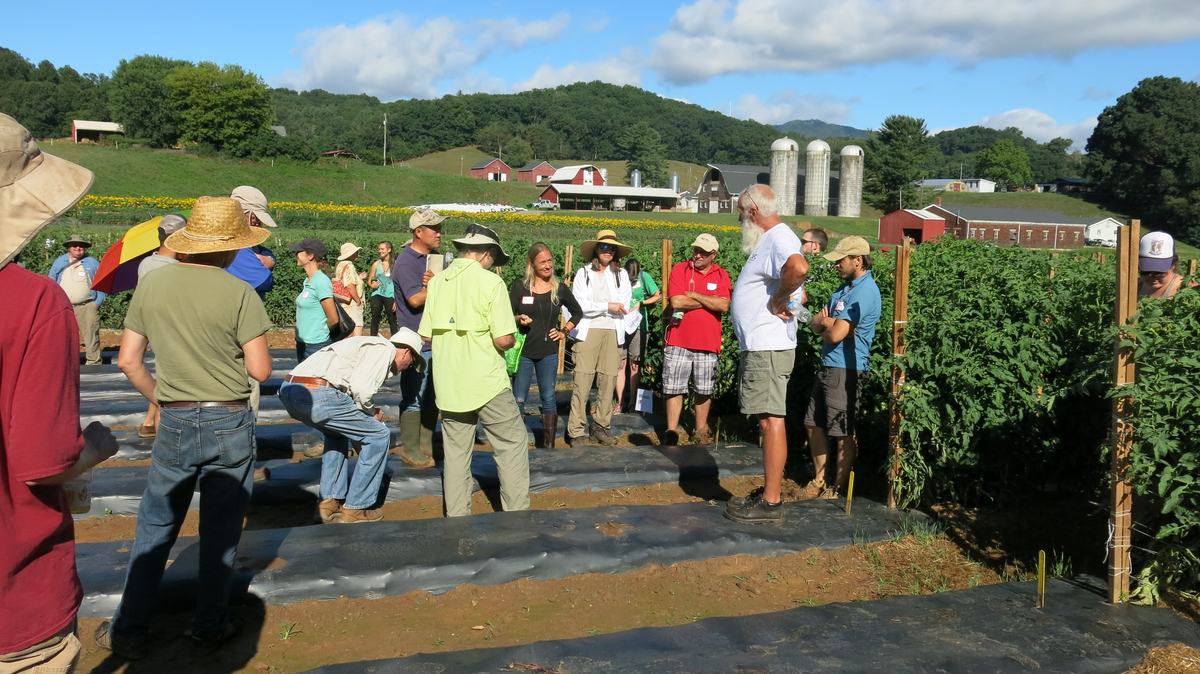 participants at Alternative Crops and Organics Field Day presentation