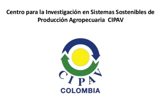 Website CIPAV Colombia