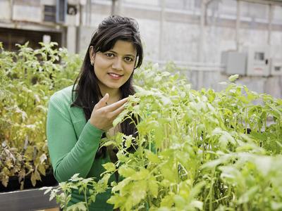Horticultural Science graduate, Pragya Adhikari, in the greenhouse