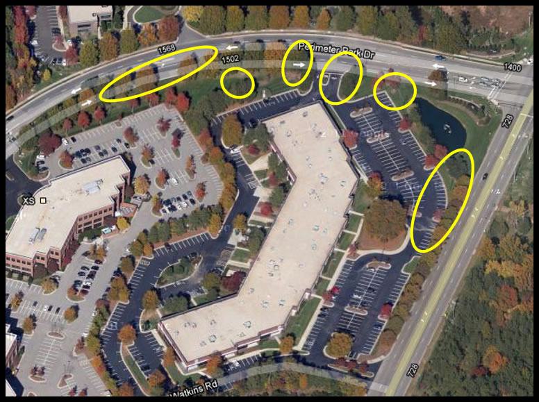 Asian needle ant treatment zones in landscaping.