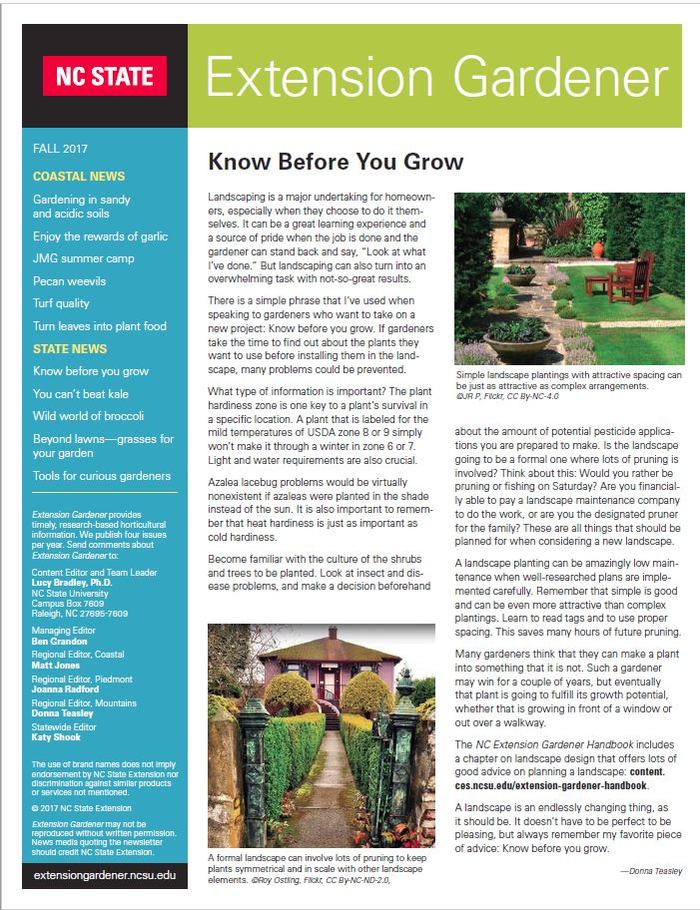 Cover of the newsletter