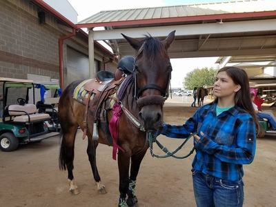 Young girl holding a lead rope beside a saddled horse in a covered stable area