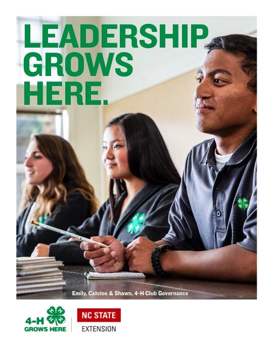 NC State Extension program branding example | Extension Sub-brand