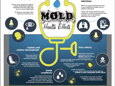 Infographic titled "It's a Moisture Issue: MOLD Health Effects" with a stethoscope graphic