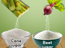 Cane stalk and beet pouring sugar into bowls labeled "Cane sugar" and "Beet sugar."