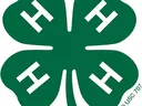 Green four-leaf clover with a white "H" on each leaf and small "18 USC 707" text