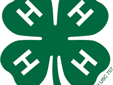 Green four-leaf clover with a white "H" on each leaf and small "18 USC 707" text