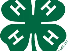 Green four-leaf clover with a white "H" on each leaf and small "18 USC 707" text