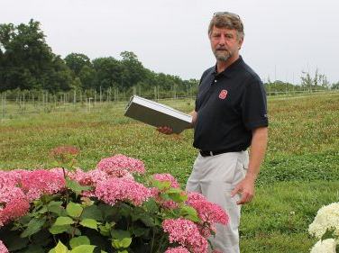 Dr. Tom Ranney and Hydrangeas