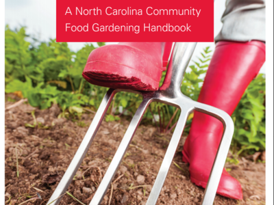 Cover to CG Handbook