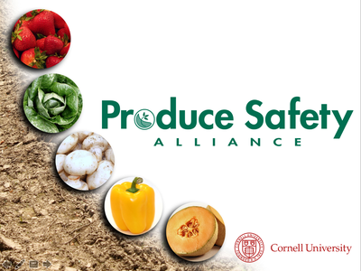 Produce Safety Alliance logo with strawberries, lettuce, mushrooms, yellow pepper and cantaloupe