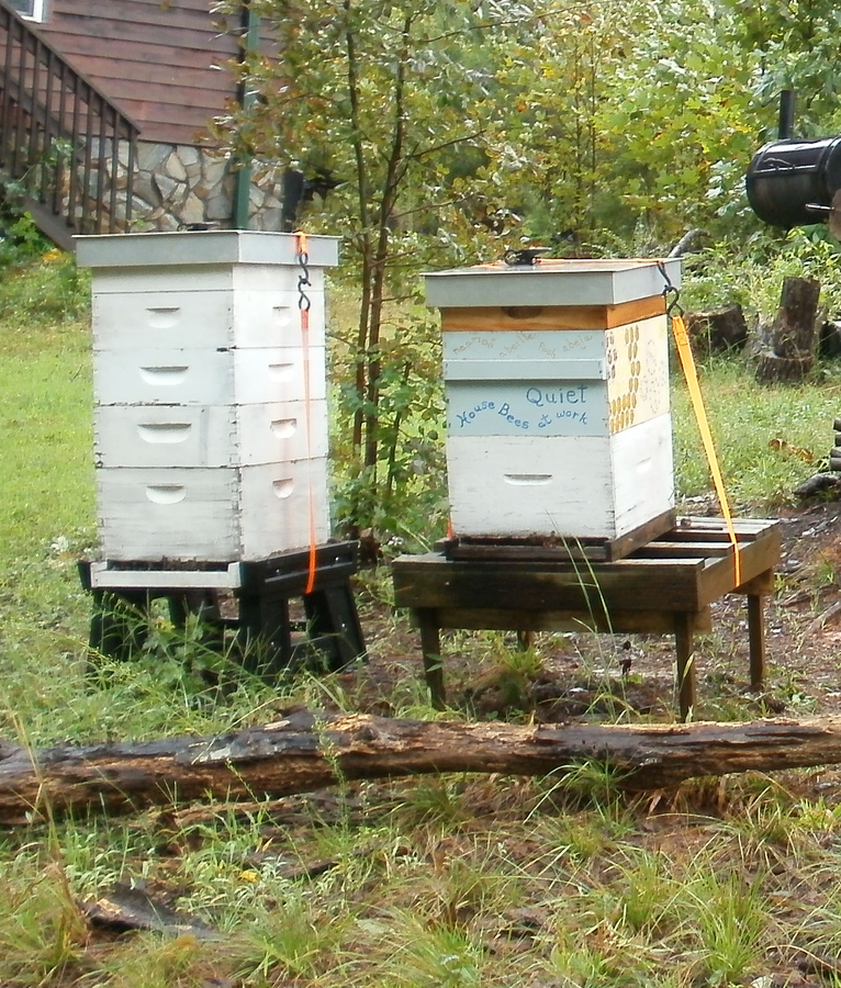 beehives secured with ratchet straps