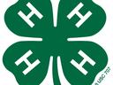 4-H Clover