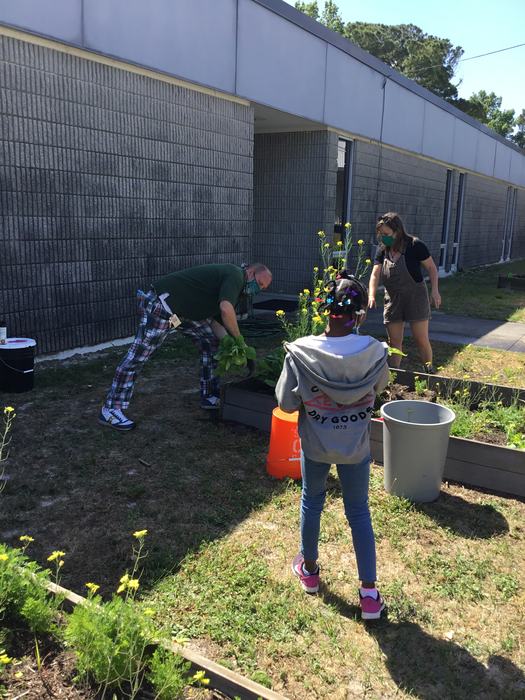 Working in school garden bed